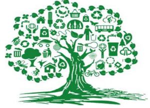 建设中国特色社会主义生态文明的路径探索——以环保技术开发为核心