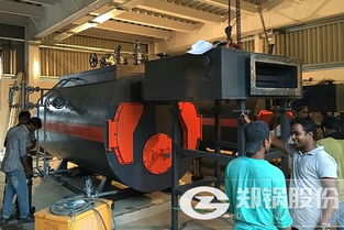 国内外纺织厂蒸汽锅炉应用对比分析 以石膏混合料为切入点